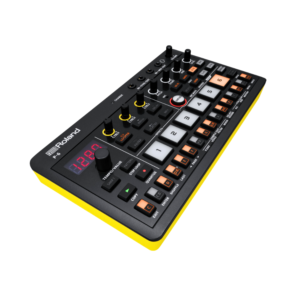 Roland P-6