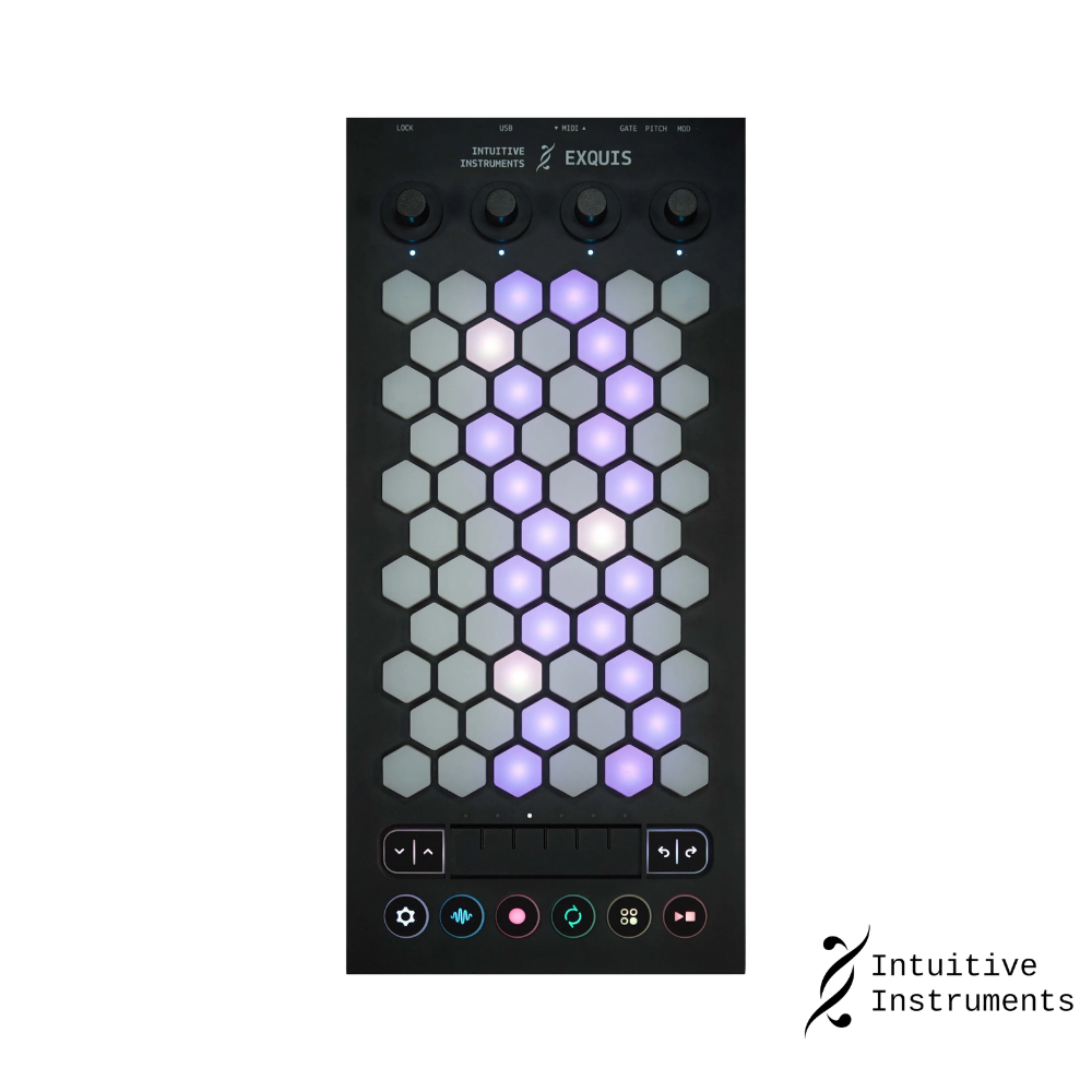 Intuitive Instruments Exquis