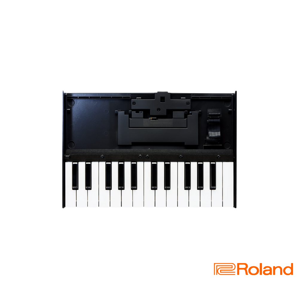 Roland Boutique K-25m