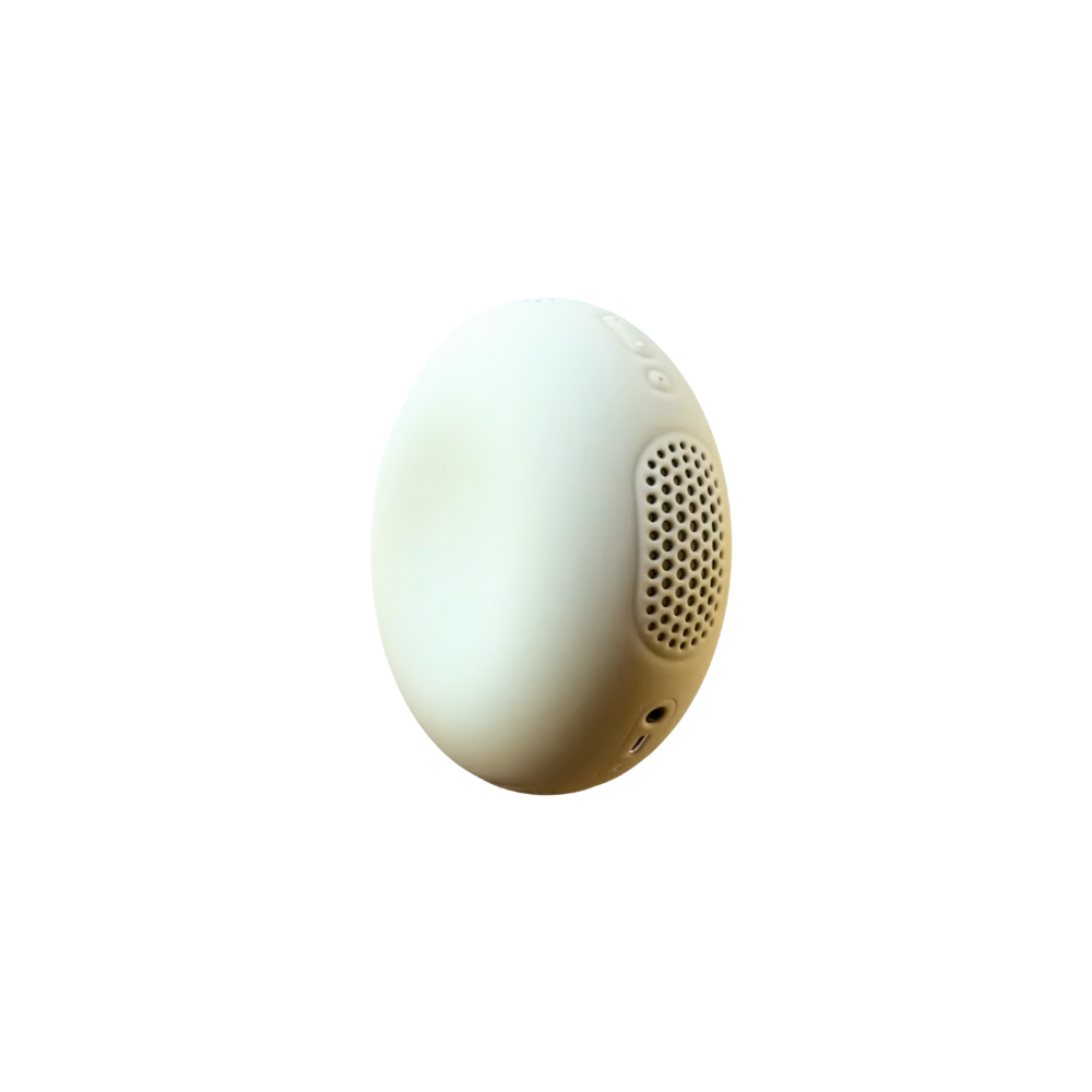 Stem 2